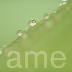 Ame Restaurant Logo