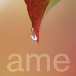 Ame Restaurant Logo